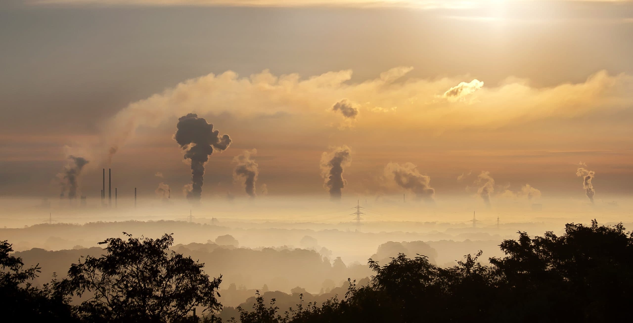 From Scope 1 to Scope 3: A Comprehensive Guide to Emissions