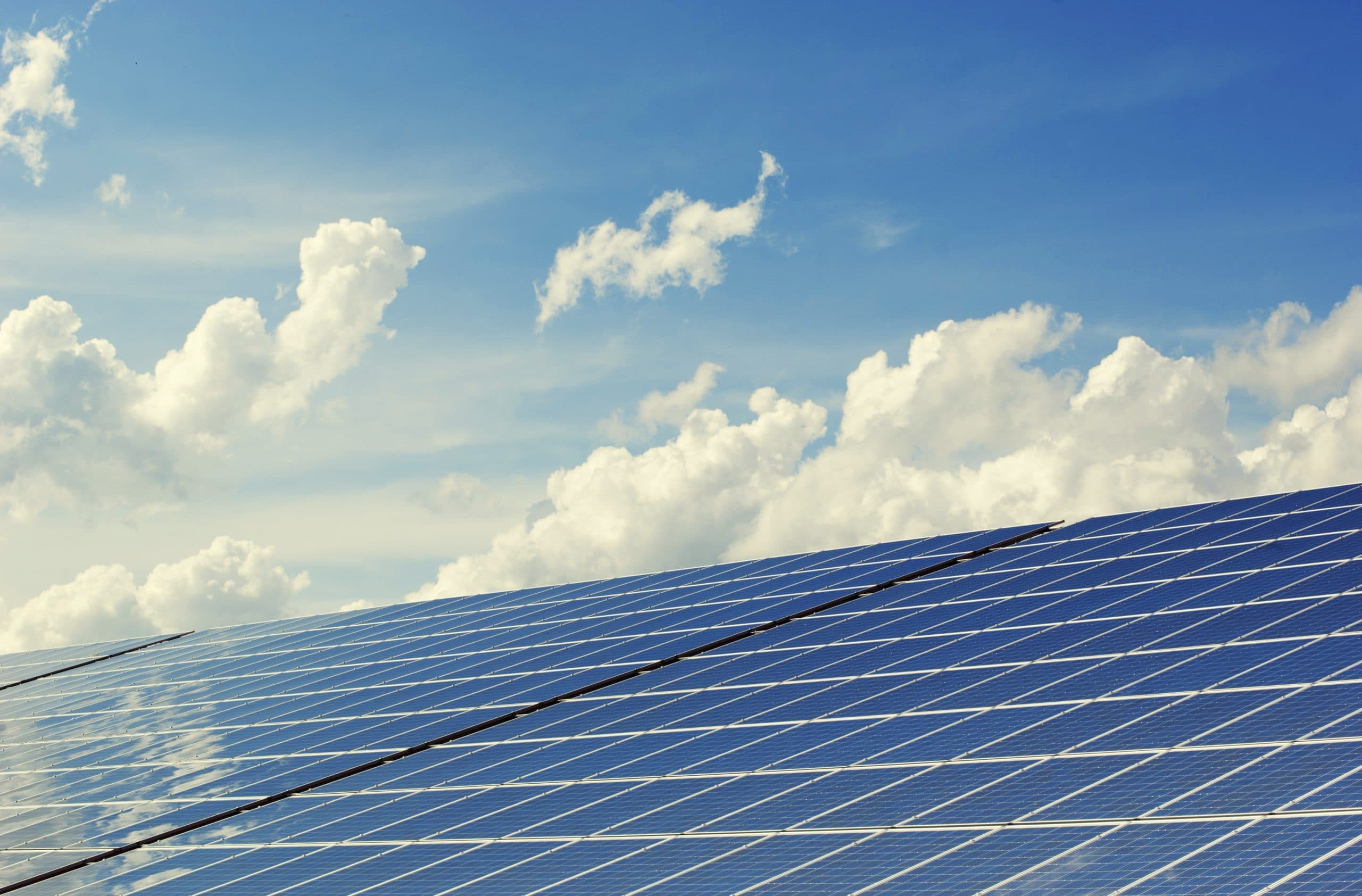 13 Best Climate Tech Software Business Ideas in 2023