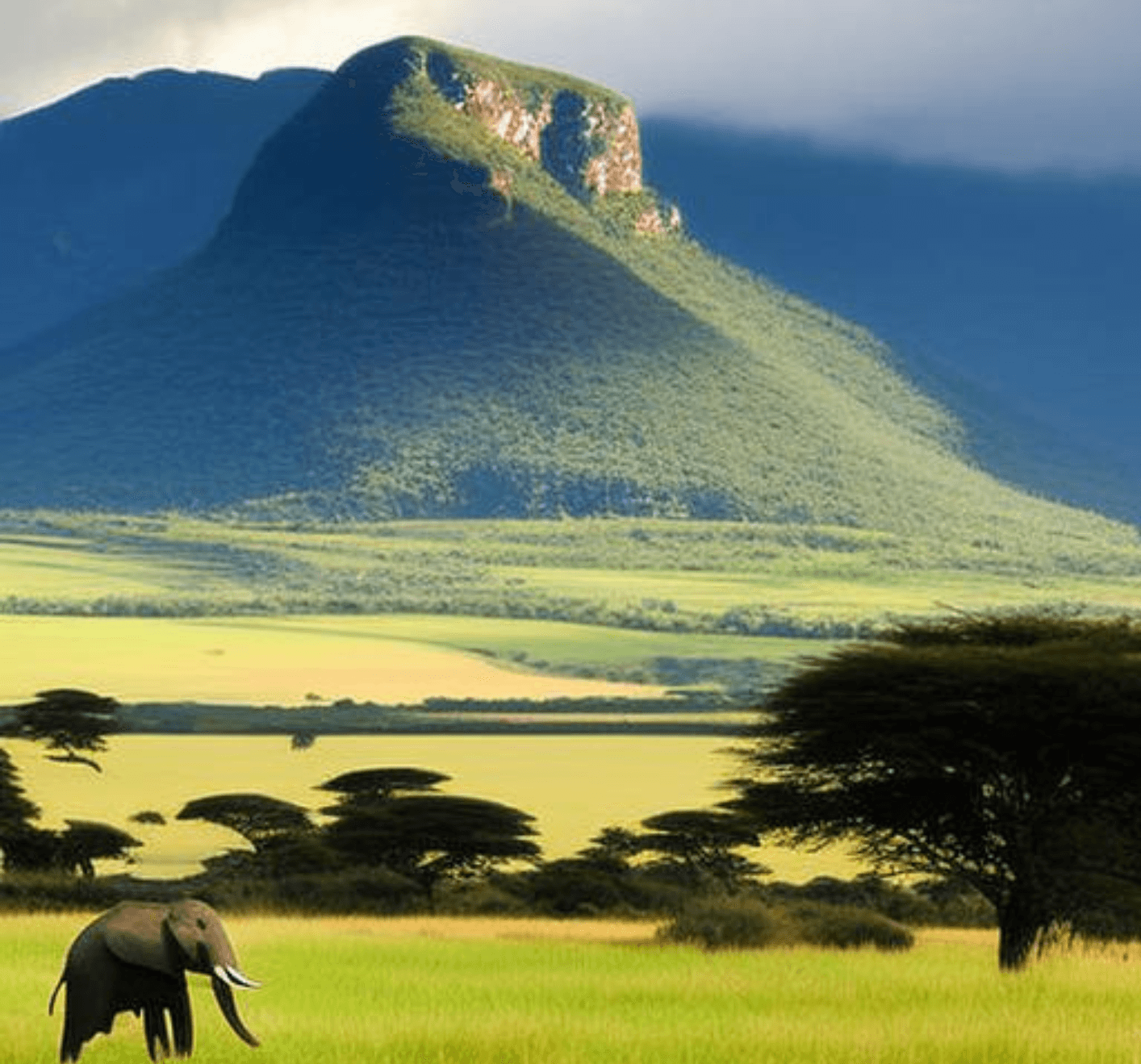 Verst Carbon: Innovating Africa’s Carbon Markets for Climate Mitigation