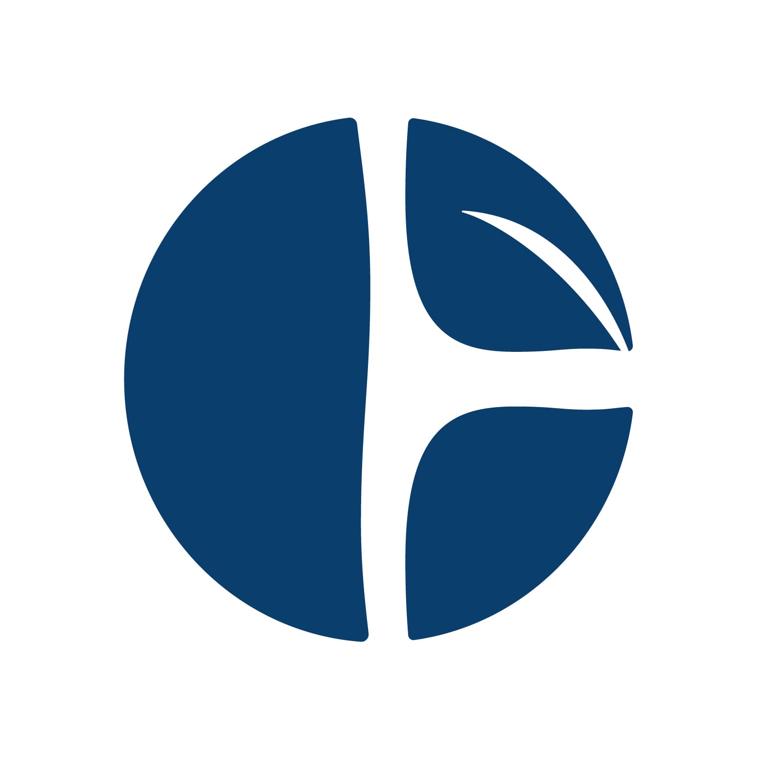 CarbonEthics logo