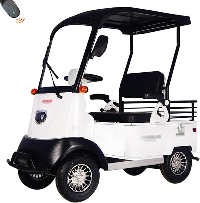 HAOWEIH Electric Golf Carts Review: Revolutionizing Mobility with a Touch of Class